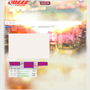 Buzzz Magazine Before Website